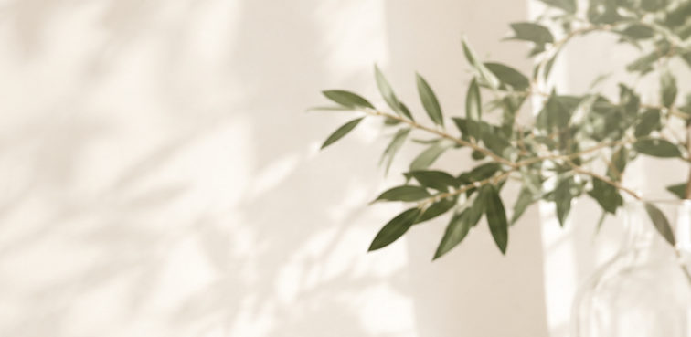 The Science of Cellular Aging: What Ergothioneine Actually Does